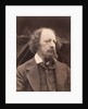 Alfred Lord Tennyson by Julia Margaret Cameron
