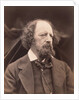 Alfred Lord Tennyson by Julia Margaret Cameron