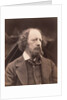 Alfred Lord Tennyson by Julia Margaret Cameron