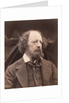 Alfred Lord Tennyson by Julia Margaret Cameron