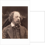 Alfred Lord Tennyson by Julia Margaret Cameron