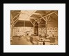 The Exhibition of the Photographic Society of London and the Societe Français de Photographie at The South Kensington Museum by Charles Thurston Thompson