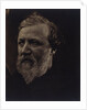 Robert Browning by Julia Margaret Cameron