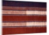 Pair of saris, detail by Unknown