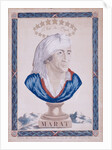 Marat. L'Ami du peuple by Paul-Andre Basset