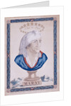 Marat. L'Ami du peuple by Paul-Andre Basset