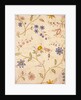 Design for chintz by Unknown