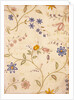 Design for chintz by Unknown