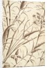 Printed textile. England, 18th-19th century by Unknown