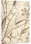 Printed textile. England, 18th-19th century by Unknown