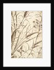 Printed textile. England, 18th-19th century by Unknown