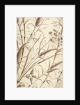 Printed textile. England, 18th-19th century by Unknown