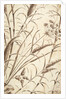 Printed textile. England, 18th-19th century by Unknown