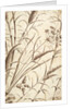 Printed textile. England, 18th-19th century by Unknown