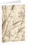Printed textile. England, 18th-19th century by Unknown
