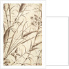 Printed textile. England, 18th-19th century by Unknown