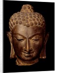 Head of Buddha. India, 7th-8th century by Unknown