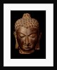 Head of Buddha. India, 7th-8th century by Unknown