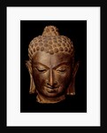 Head of Buddha. India, 7th-8th century by Unknown