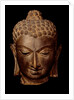 Head of Buddha. India, 7th-8th century by Unknown