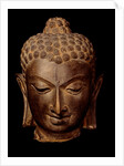 Head of Buddha. India, 7th-8th century by Unknown