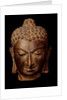 Head of Buddha. India, 7th-8th century by Unknown