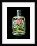 Bottle by Osvaldo Brussa