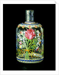 Bottle by Osvaldo Brussa
