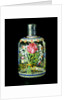 Bottle by Osvaldo Brussa