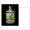 Bottle by Osvaldo Brussa