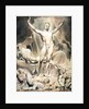 Satan by William Blake