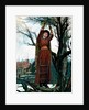 The 24th of December, Cutting the mistletoe, from The Graphic Xmas Number. England, 1886 by Anonymous