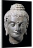 Head of Buddha. N.W. India 3rd-5th century by Unknown