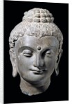 Head of Buddha. N.W. India 3rd-5th century by Unknown