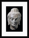 Head of Buddha. N.W. India 3rd-5th century by Unknown