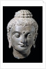Head of Buddha. N.W. India 3rd-5th century by Unknown
