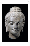 Head of Buddha. N.W. India 3rd-5th century by Unknown