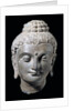 Head of Buddha. N.W. India 3rd-5th century by Unknown