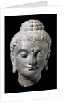 Head of Buddha. N.W. India 3rd-5th century by Unknown