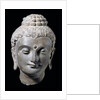 Head of Buddha. N.W. India 3rd-5th century by Unknown