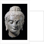 Head of Buddha. N.W. India 3rd-5th century by Unknown