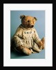 Teddy Bear. German, c.1905 by Unknown