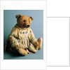 Teddy Bear. German, c.1905 by Unknown