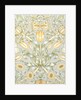 Lily and Pomegranate wallpaper by William Morris