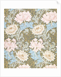 Chrysanthemum wallpaper by William Morris