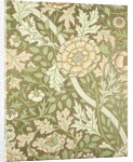 Norwich wallpaper by William Morris