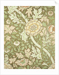Norwich wallpaper by William Morris