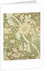 Norwich wallpaper by William Morris