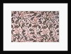 Jasmine Trellis furnishing fabric by William Morris