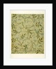 Jasmine wallpaper by William Morris